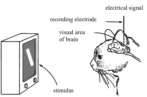 figure-1